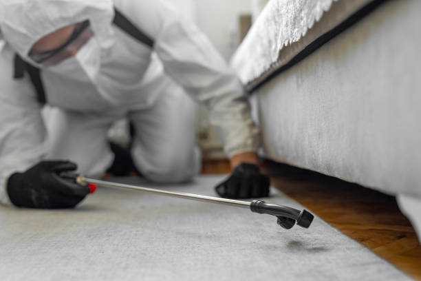 Professional Cockroach Control technician working in Akron, IA